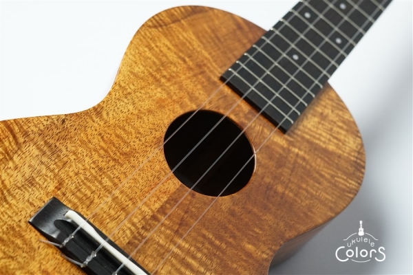 ECO-C+ - Koa